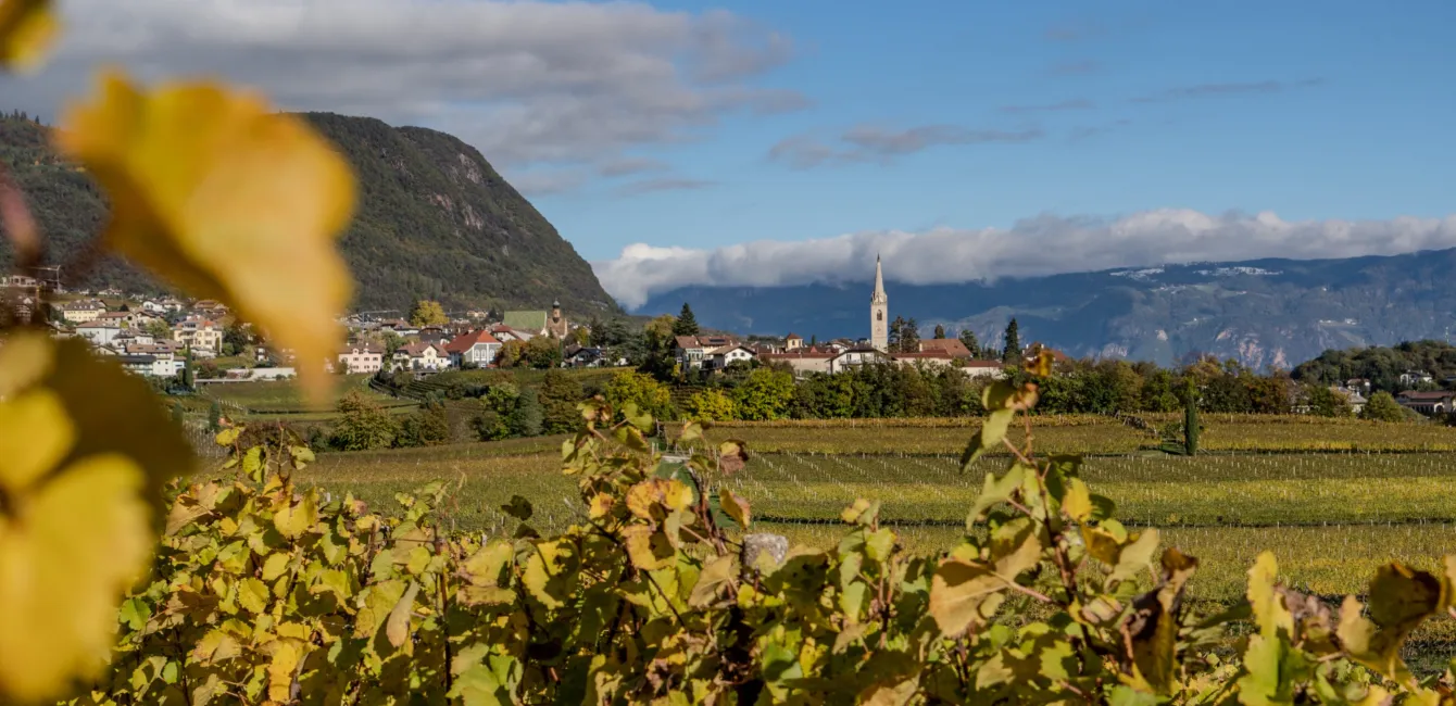 Blick auf Kaltern