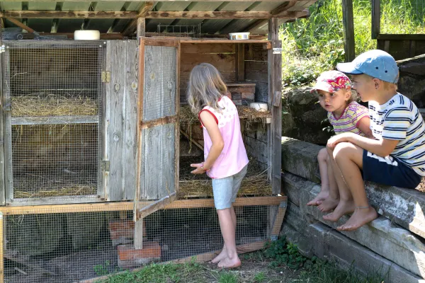 Kinder bei den Haustieren am Dissertorihof in Kaltern
