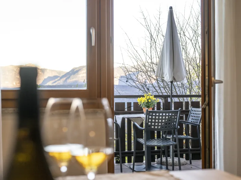 Ferienwohnung Dissertorihof Kaltern Weißburgunder Ausblick