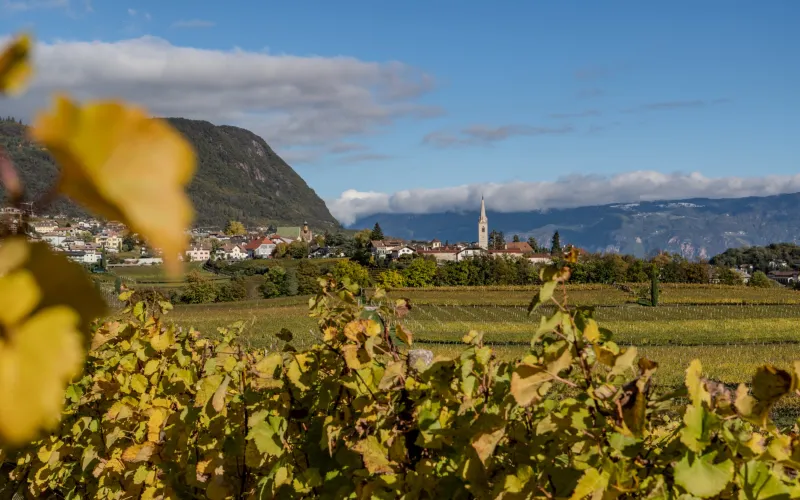 Blick auf Kaltern