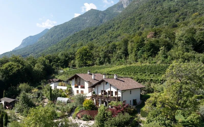 Blick auf den Dissertorihof in Kaltern am See