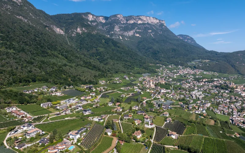 Vista su Caldaro dal maso Dissertorihof a Caldaro