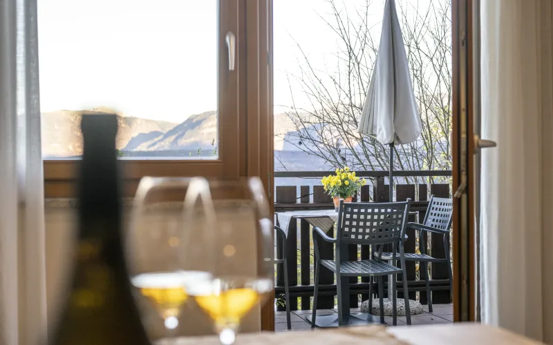 Ferienwohnung Dissertorihof Kaltern Weißburgunder Ausblick