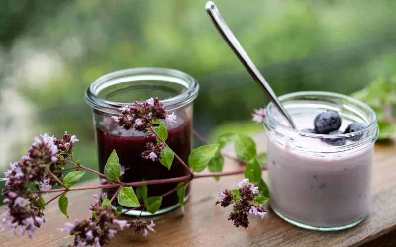 Frische Produkte mit Joghurt am Dissertorihof in Kaltern