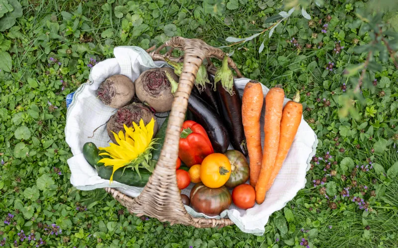 Verdure dell'orto del Dissertorihof a Caldaro