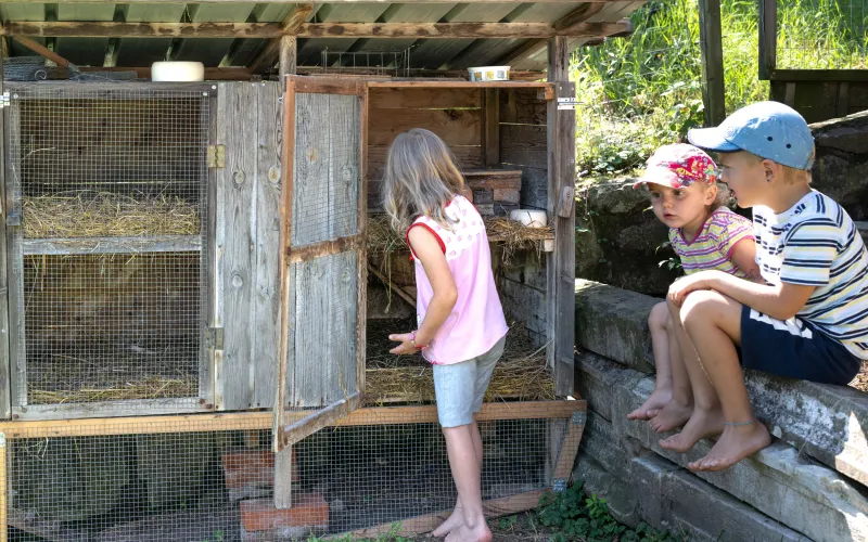 Kinder bei den Haustieren am Dissertorihof in Kaltern