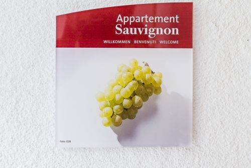 Sauvignon